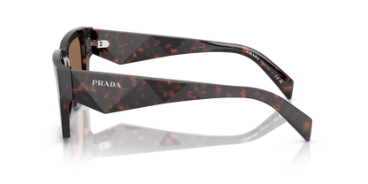 משקפי שמש פראדה צב-חום | Prada PR A06S Tortoise-Brown