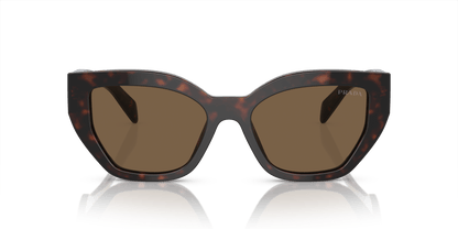 משקפי שמש של פראדה ברואר צב-חום כהה | PRADA PR A09S Briar Tortoise-Dark Brown
