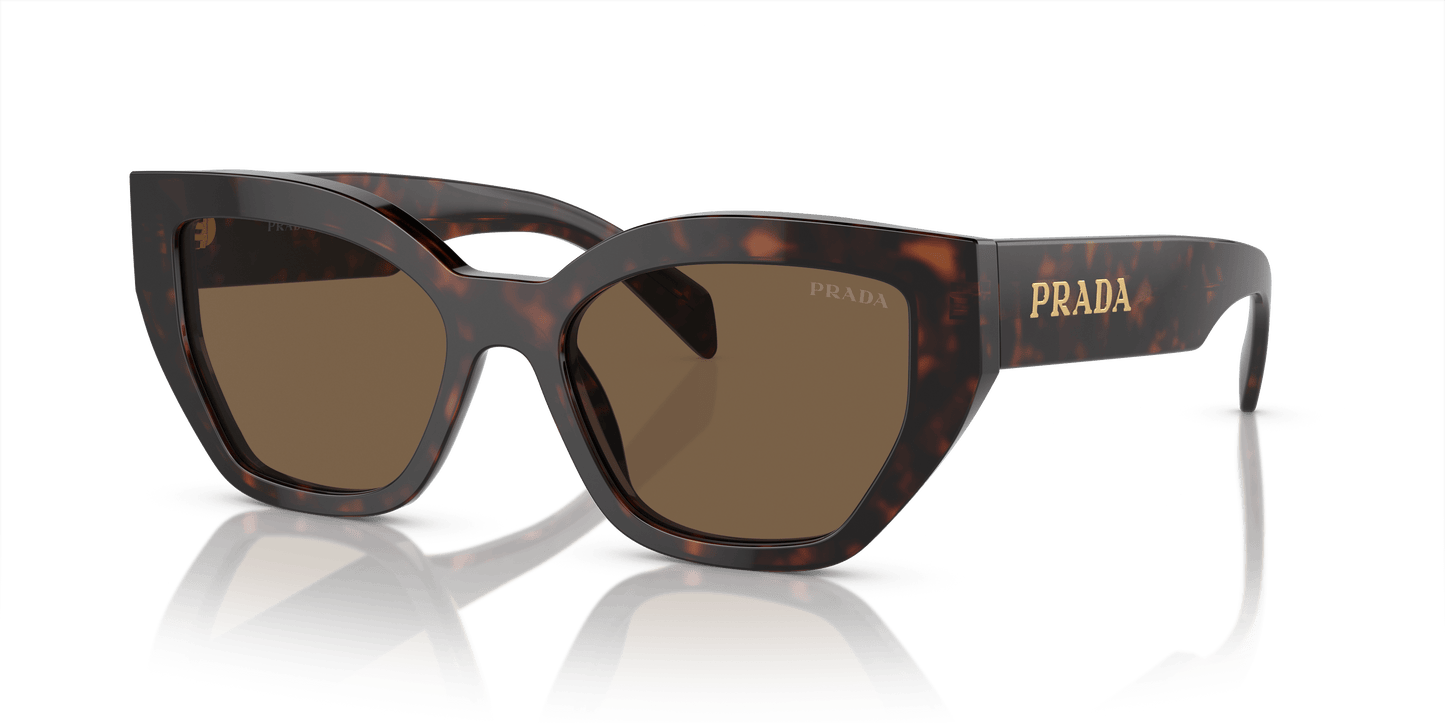 משקפי שמש של פראדה ברואר צב-חום כהה | PRADA PR A09S Briar Tortoise-Dark Brown