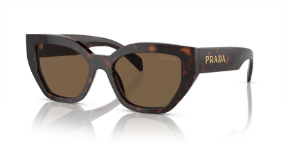משקפי שמש של פראדה ברואר צב-חום כהה | PRADA PR A09S Briar Tortoise-Dark Brown