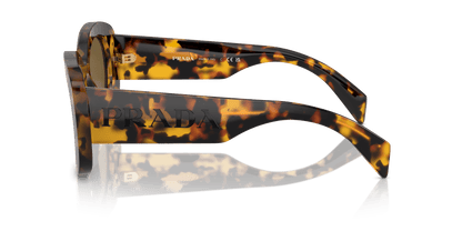 משקפי שמש פראדה האני צב-חום כהה | PRADA PR A13S Honey Tortoise-Dark Brown
