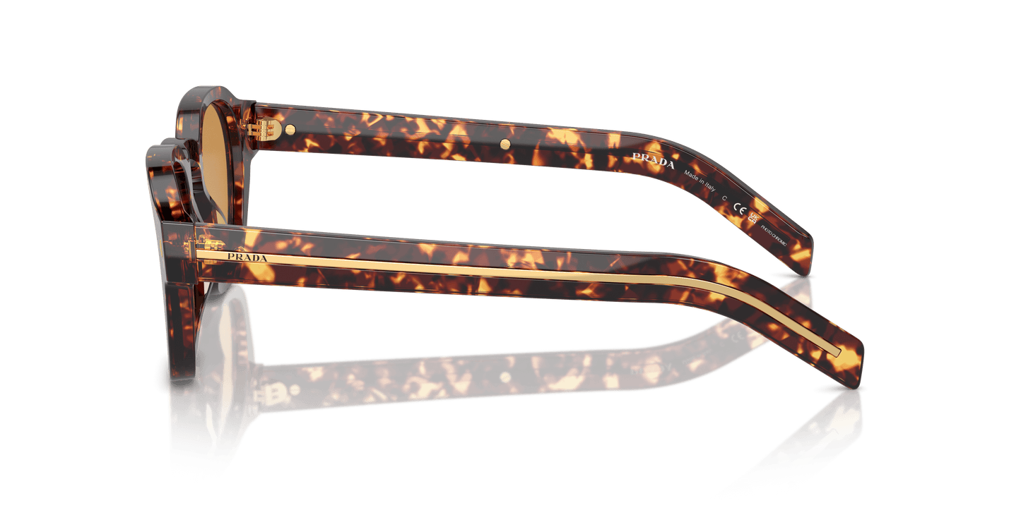 משקפי שמש פראדה צב מאגמה-תמונה חום בהיר | Prada PR A16S Magma Tortoise-Light Brown Photo