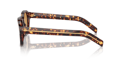 משקפי שמש פראדה צב מאגמה-תמונה חום בהיר | Prada PR A16S Magma Tortoise-Light Brown Photo