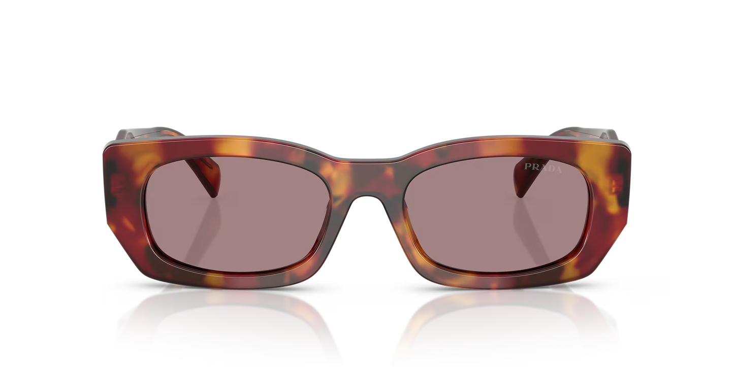 משקפי שמש פראדה צב-סיגלית | Prada PR B05S Tortoise-Violet