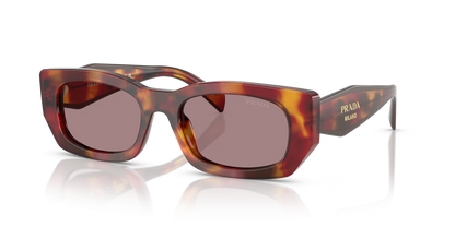 משקפי שמש פראדה צב-סיגלית | Prada PR B05S Tortoise-Violet