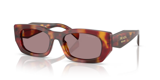 Prada Sunglasses Tortoise-Violet | Prada PR B05S Tortoise-Violet