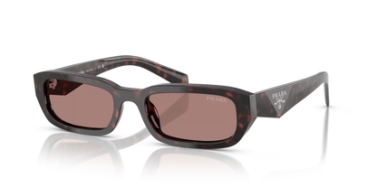 Prada Sunglasses Tortoise-Brown | Prada PR B06S Tortoise-Brown