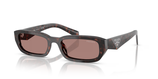 Prada Sunglasses Tortoise-Brown | Prada PR B06S Tortoise-Brown