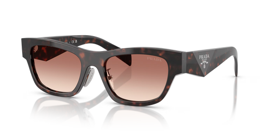 Prada Sunglasses Tortoise-Brown | Prada PR B09S Tortoise-Brown