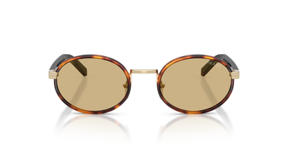 משקפי שמש פראדה צב-צהוב | Prada PR B56S Tortoise-Yellow