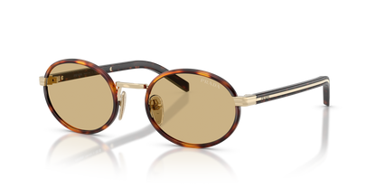 משקפי שמש פראדה צב-צהוב | Prada PR B56S Tortoise-Yellow