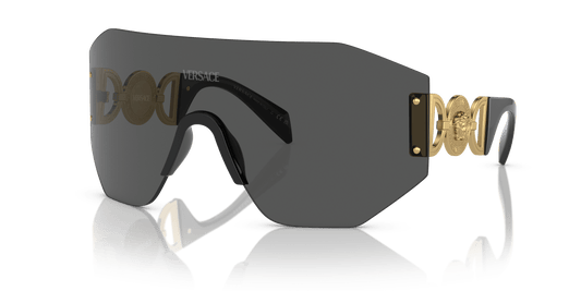 Versace Sunglasses Dark Grey | Versace VE2258 Dark Grey
