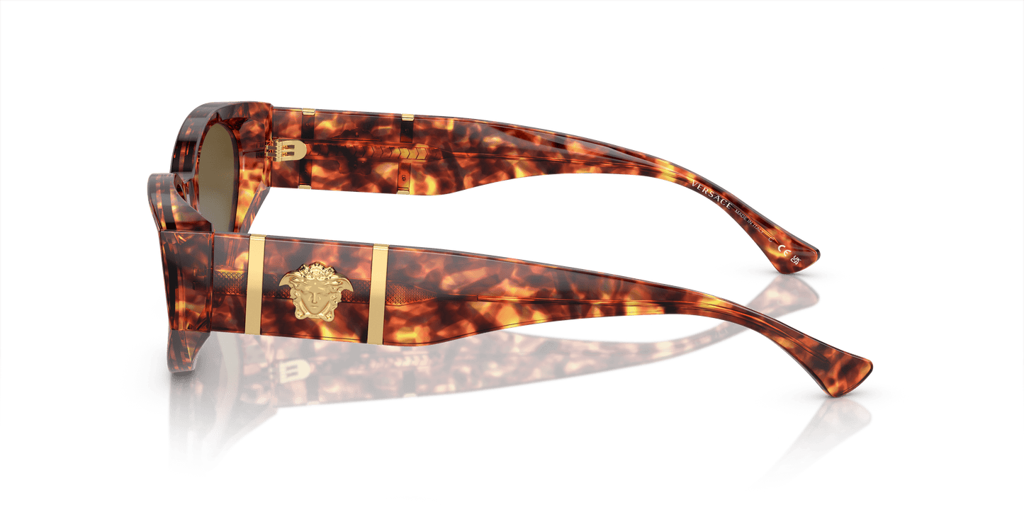 משקפי שמש של ורסאצ'ה הוואנה-חום כהה | Versace VE4454 Havana-Dark Brown