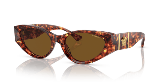 Hebrew | Versace VE4454 Havana-Dark Brown Polar