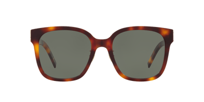 משקפי שמש סן לורן צב-ירוק | Saint Laurent SL M105/F Tortoise-Green