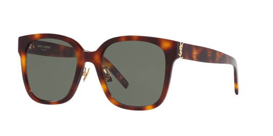 משקפי שמש סן לורן צב-ירוק | Saint Laurent SL M105/F Tortoise-Green