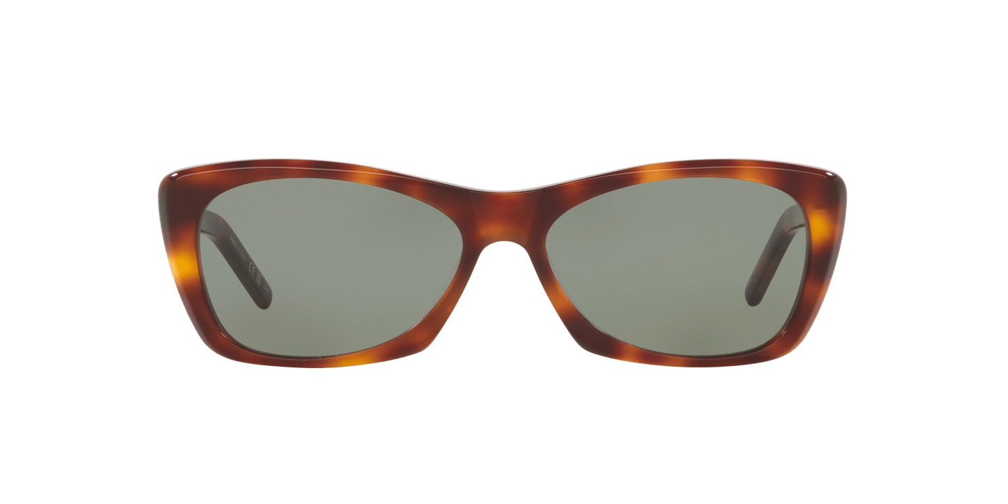 משקפי שמש סן לורן צב-ירוק | Saint Laurent SL 613 Tortoise-Green
