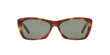 משקפי שמש סן לורן צב-ירוק | Saint Laurent SL 613 Tortoise-Green