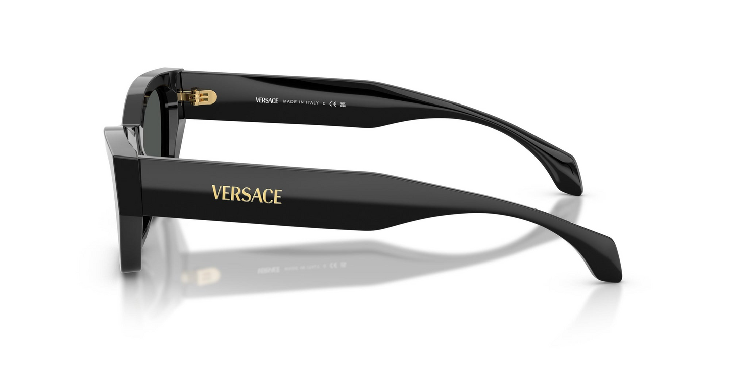 Versace VE4488U GB1/87 53 - Sunglasses Versace