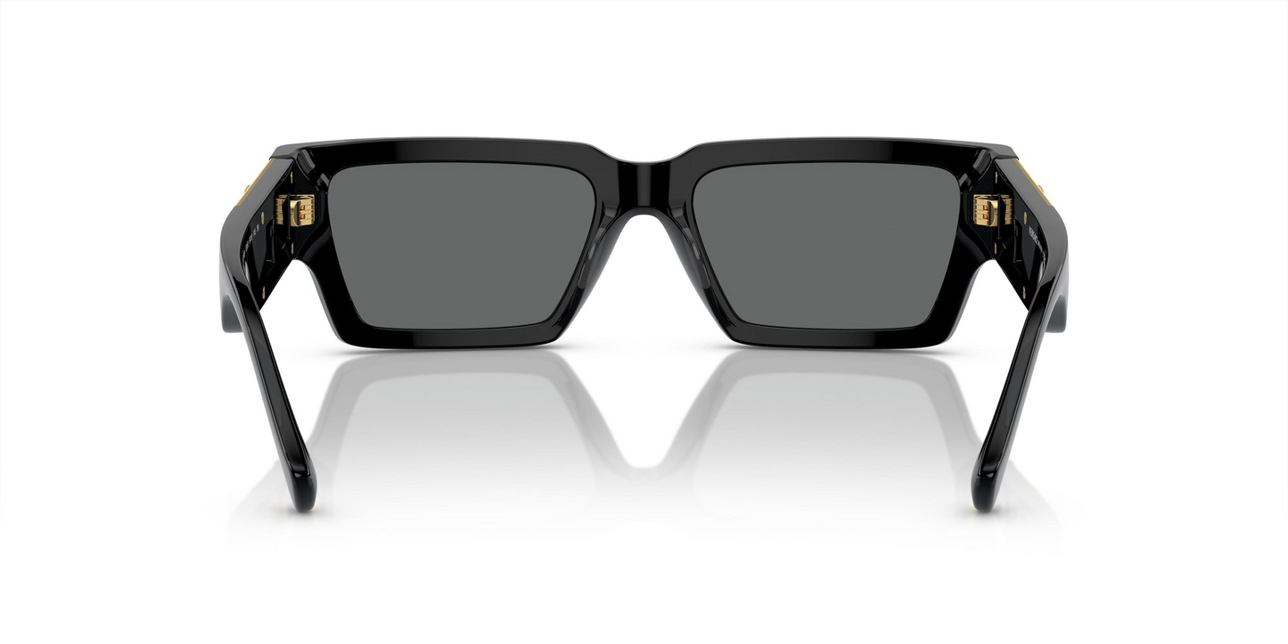 Versace VE4459 GB1/87 54 - Sunglasses Versace Grey Acetate
