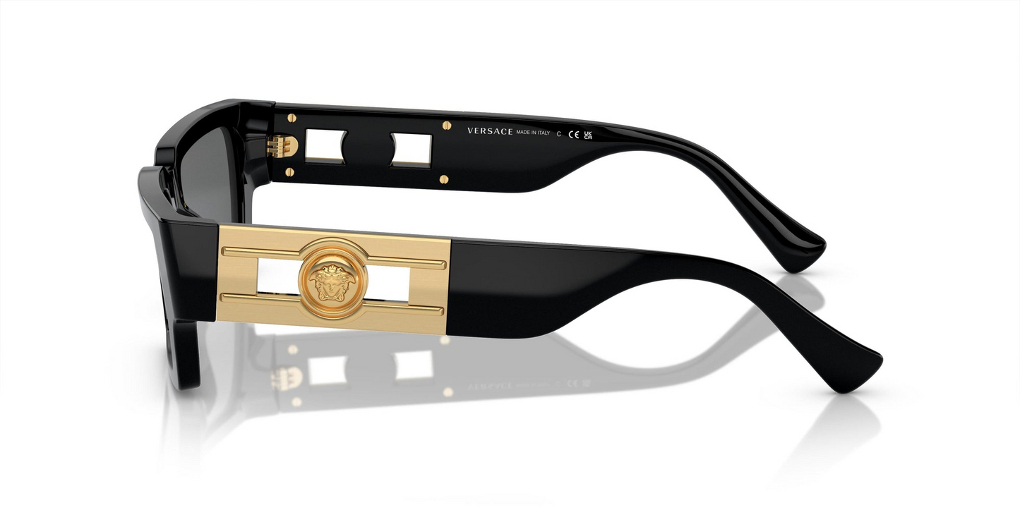 Versace VE4459 GB1/87 54 - Sunglasses Versace Grey Acetate