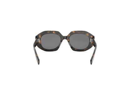 CELINE 3 Dots Havana Geometric Sunglasses CL40319I 53A 52