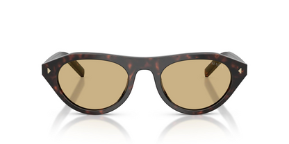 Prada PR B15S 17N70R 51 - Sunglasses Prada Brown Acetate