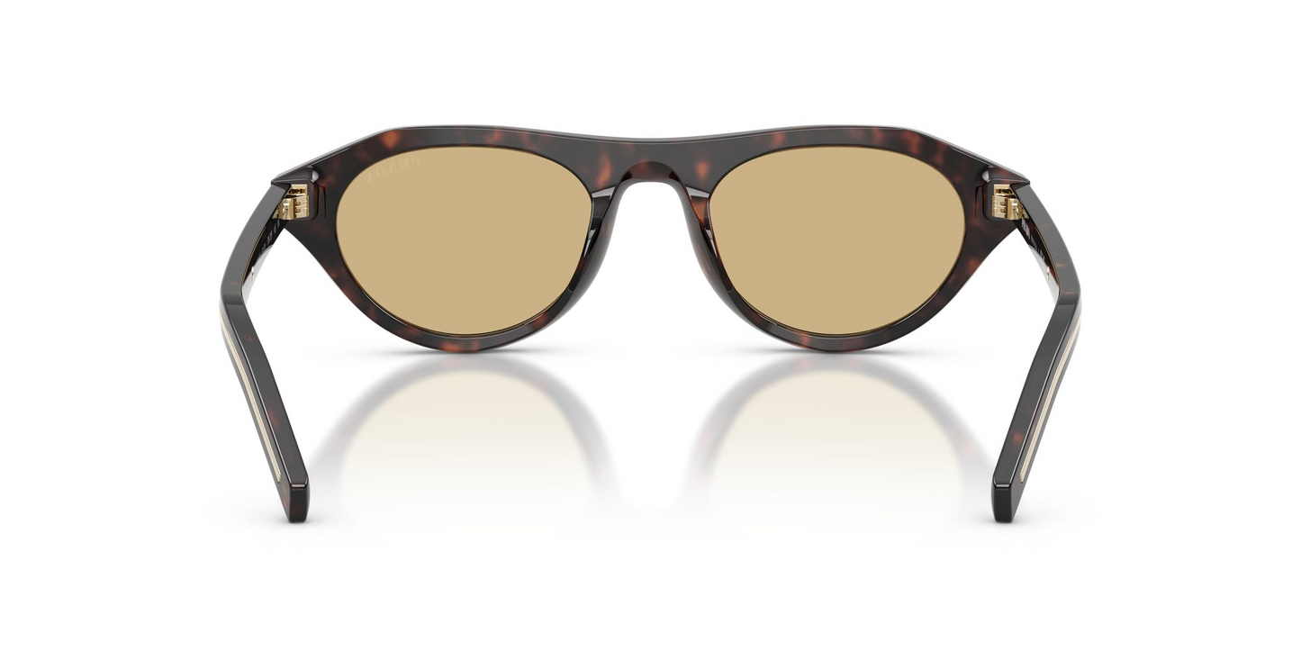 Prada PR B15S 17N70R 51 - Sunglasses Prada Brown Acetate