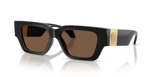 Versace VE4497U 554373 53 - Versace Brown