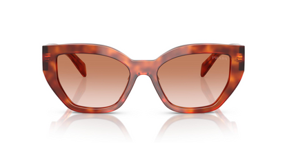 Prada PR A09S 11P70E 53 - Sunglasses Prada Brown Acetate
