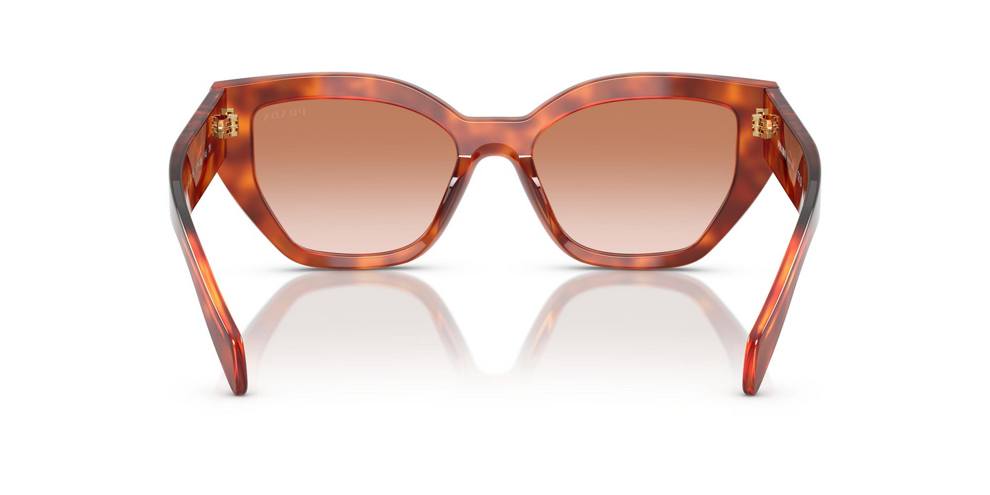 Prada PR A09S 11P70E 53 - Sunglasses Prada Brown Acetate