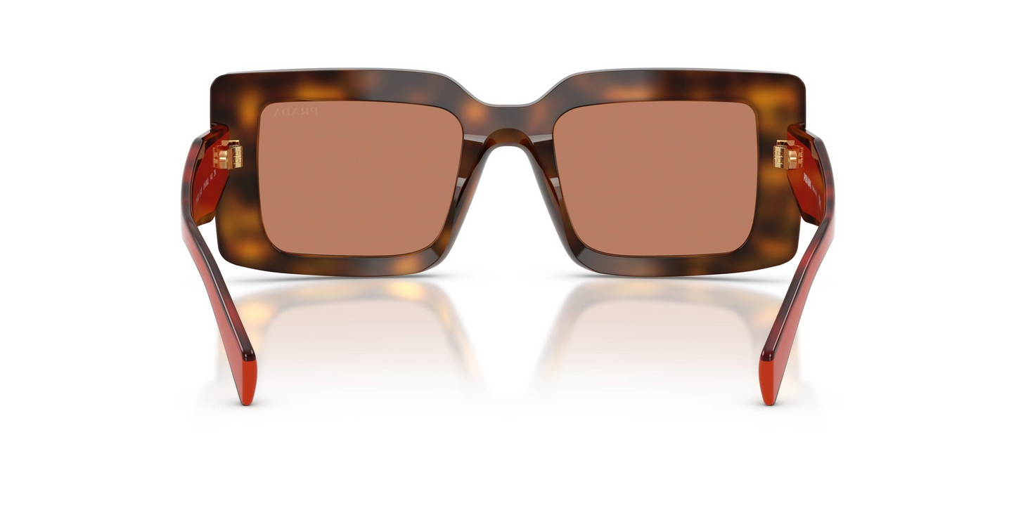 Prada PR D01S 01K90Q 52 - Sunglasses Prada Brown Acetate