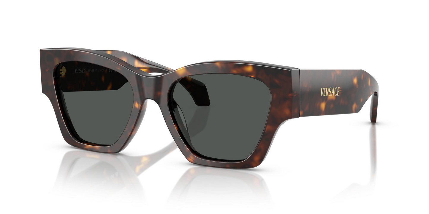 Versace VE4492U 108/87 53 - Sunglasses Versace
