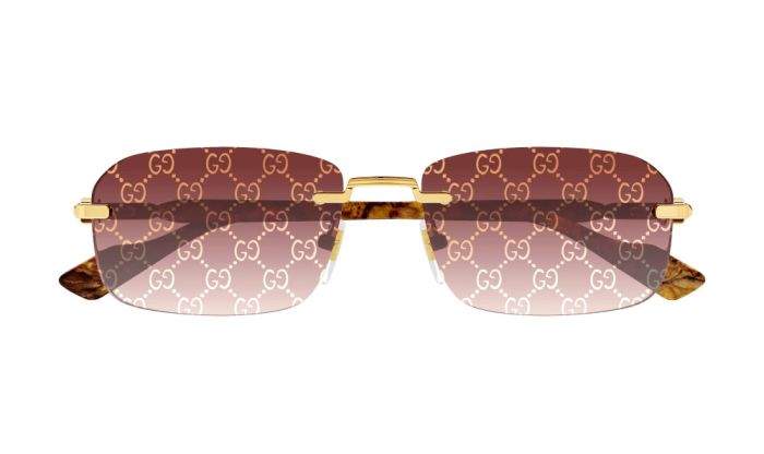 משקפי שמש של גוצ'י 4  | GUCCI GG1221S