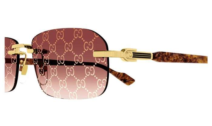 משקפי שמש של גוצ'י 4  | GUCCI GG1221S